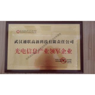 光電信息產業領軍企業